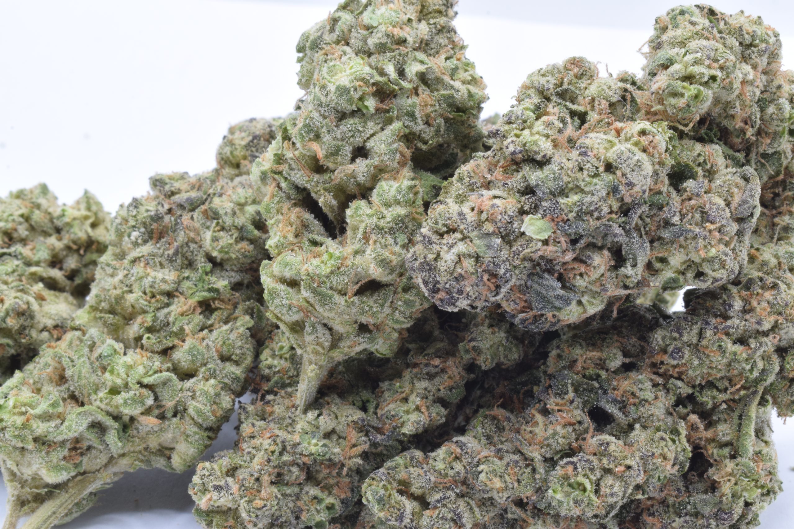 Gushers Indica / Grade A Meeting Maryjane