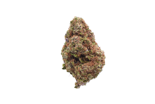 Jacks Grape - Hybrid / Grade: Cloud Sale