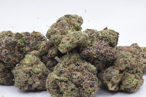 Blue Guava - Hybrid / Grade: AAA - Image 2