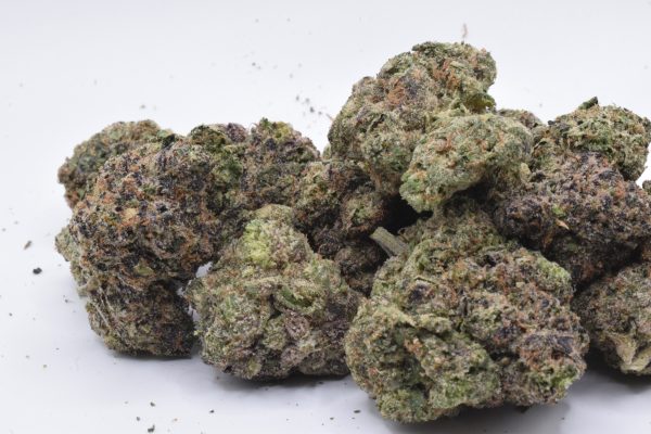 Blue Guava - Hybrid / Grade: AAA - Image 3