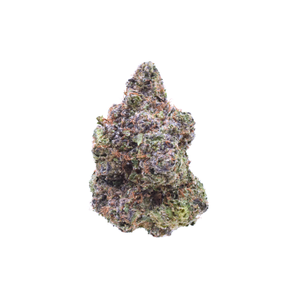 Blue Guava - Hybrid / Grade: AAA