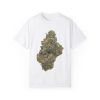 Triangle Larry Og - Indica / Grade: AAAA - Image 4