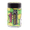 Doja Pak - Xclusive - Image 3