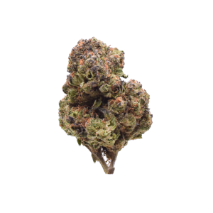 Candy Cane - Indica / Grade : 2A