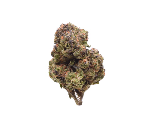 Candy Cane - Indica / Grade : 2A