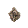 Purple Cherry Popper - Hybrid / Grade: 3A