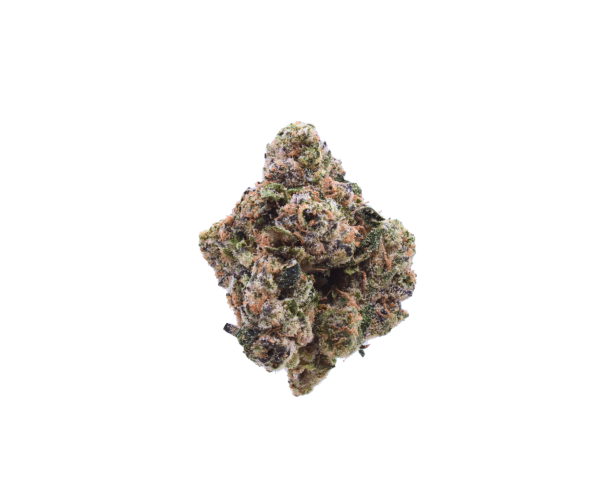 Purple Cherry Popper - Hybrid / Grade: 3A