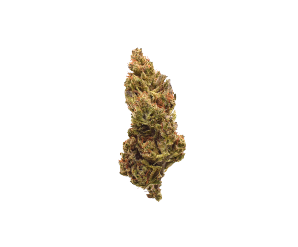 Gas Leak - Indica / Grade: 2A