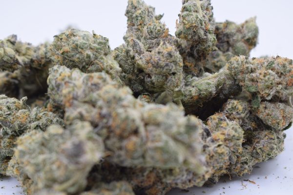 OCA'S Cloud 9 - Sativa / Grade: 4A - Image 3