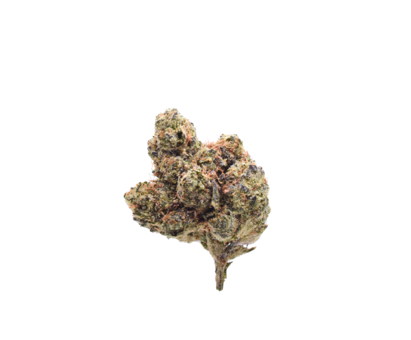 Mighty Gold BX1 - Hybrid / Grade: 3A