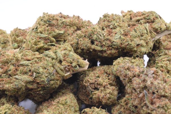Papaya Punch - Indica / Grade 2A - Image 2