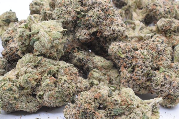 Purple Cherry Popper - Hybrid / Grade: 3A - Image 2