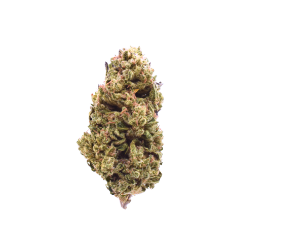Jungle Sunset - Indica / Grade: 2A