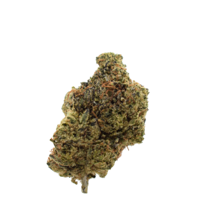 Cold Heat - Hybrid / Grade: 2A+