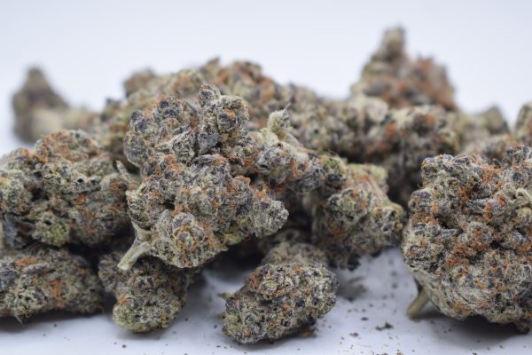 Black Velvet - Hybrid / Grade: 4A - Image 3