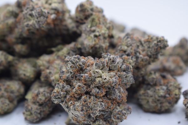 Black Velvet - Hybrid / Grade: 4A - Image 4