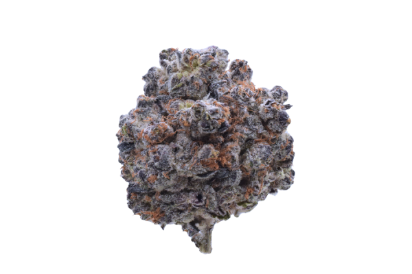 Black Velvet - Hybrid / Grade: 4A