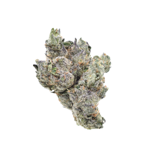 Snake Venom - Indica / Grade: Xclusive