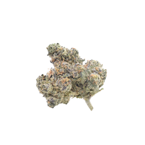 Crypto Gelato - Hybrid / Grade: 3A