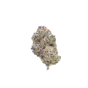 Gastro Belts - Hybrid / Grade: 3A