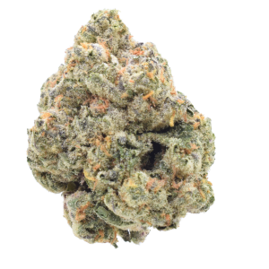 Bubblegum Biscotti - Hybrid / Grade: 3A