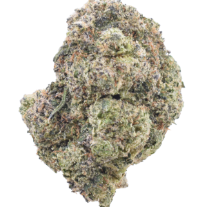 Lady Liberty - Hybrid / Grade: 3A
