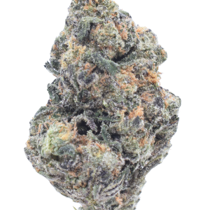 White Lotus - Hybrid / Grade: 3A