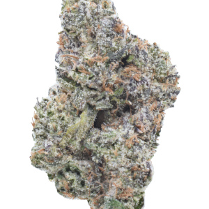 Blue Lobster - Indica / Grade: 3A