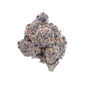 Black Cherry Funk - Hybrid / Grade: 4A