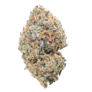 Girl Scout Yeti - Indica / Grade: 3A