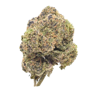 Peanut Butter - Hybrid / Grade: 3A