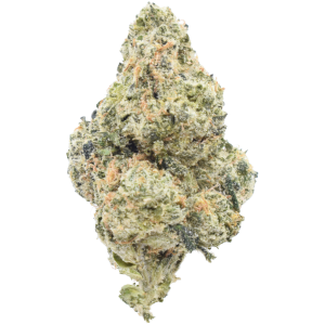 Triple XL - Indica / Grade : 3A