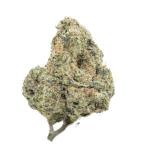 Runtzosa - Hybrid / Grade : 3A