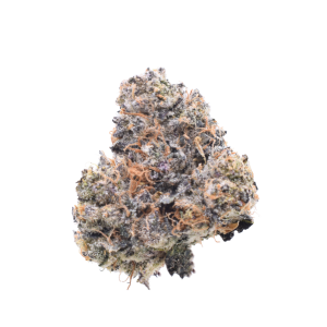 Zootiez - Hybrid / Grade: 4A