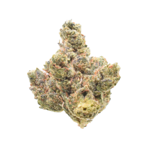 Headband - Indica / Grade: 3A