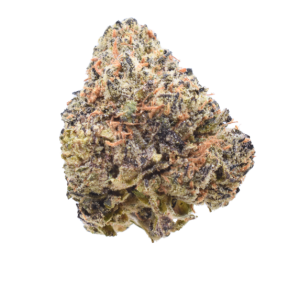 Goji Berry - Sativa / Grade: 3A